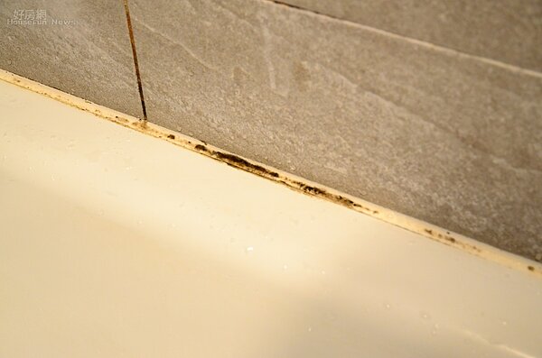 浴室膠條霉斑(好房網News記者鍾釗榛/攝)