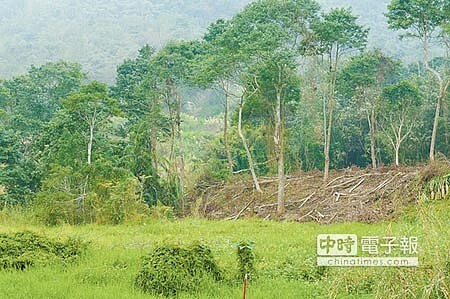 
南投縣草湳溼地因螢火蟲生態豐富，每年吸引約兩萬遊客賞螢，但近日草湳溼地鄰近大面積雜木林遭地主剷除（見右圖，廖肇祥攝），棲地恐遭破壞，桃米休閒農業區為避免人為因素再衝擊生態，今年賞螢季傾向停辦，並盡力與地主協調，將衝擊降到最低。
 