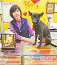 靈犬報牌 彩券行又開大獎