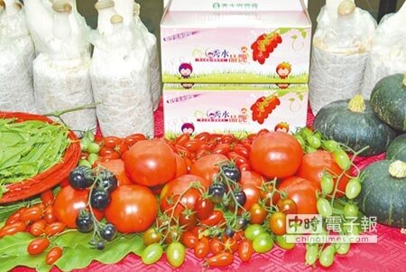 
彰化縣栽植小果番茄共378公頃，秀水鄉占最多，秀水鄉農會昨天舉辦首屆小果番茄評鑑。（吳敏菁攝）
 