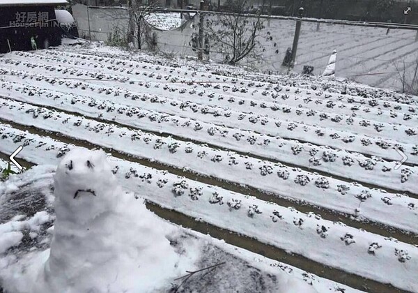 民眾興奮地堆起小雪人。（好房網News資料中心）