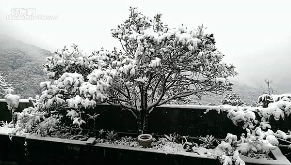 坪林茶農李生志表示,在坪林種茶四五十年有餘,首次遇到下雪,但幸好冬茶早已採收,否則不知道下雪會造成什麼傷害。(好房網News記者/陳韋帆攝影)