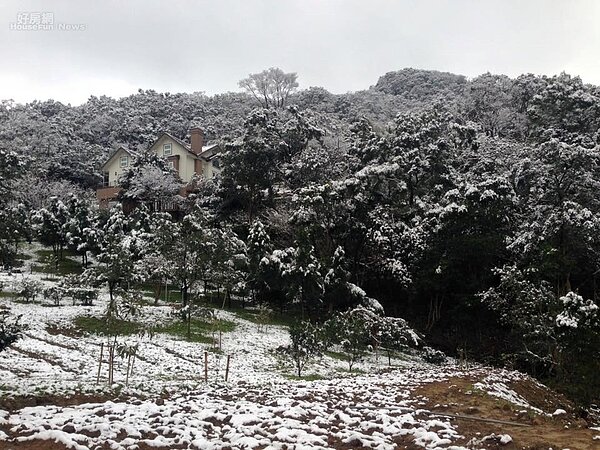 三峽山區也飄雪,不少民眾不畏寒流出門欣賞雪景。(好房網News記者魏瑩華/拍攝)
