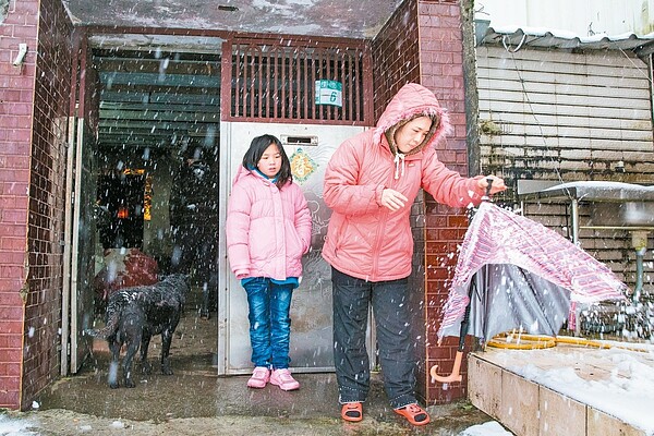 北部海拔300公尺就降雪
超級寒流發威,新北市坪林降下皚皚白雪,當地居民一出門驚呼在這邊住了十幾年,第一次看到這樣的大雪。 圖與文/鄭清元