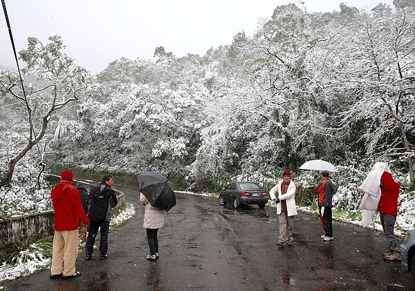 陽明山下雪,整個遊客中心也是白茫茫一片,覆蓋厚厚的一層雪,許多遊客堆起了雪人,體驗雪國風情。 記者蘇健忠/攝影