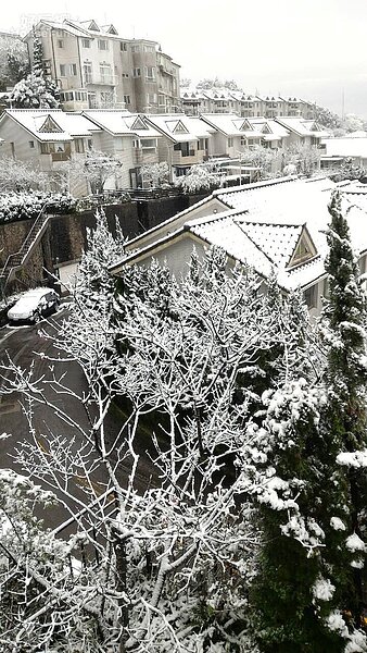 新北市新店區大台北華城降下白雪,彷彿電影「冰雪奇緣」場景。(好房網News資料中心)
