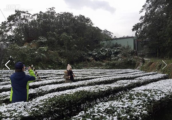 深坑雪景。(好房網News記者張聖奕/攝影)