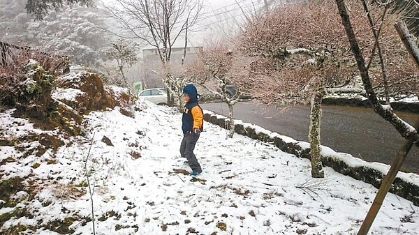 南橫山區下雪，小朋友高興地在雪中跳舞。 記者李蕙君／攝影