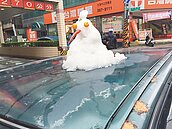 桃園平地雪霰飛　拍到沒?