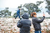 寒流急凍台灣…全民追雪　農漁淌血