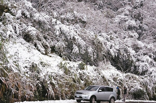 宜蘭縣礁溪鄉櫻花陵園第一次下大雪，產業道路旁的山林被白雪覆蓋，路過民眾特別下車賞雪。 圖／沈姓讀者提供