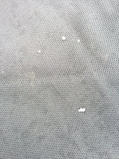 嘉義沿海昨天疑似降下如白米大的冰霰,民眾大感驚喜。 記者黃煌權/翻攝