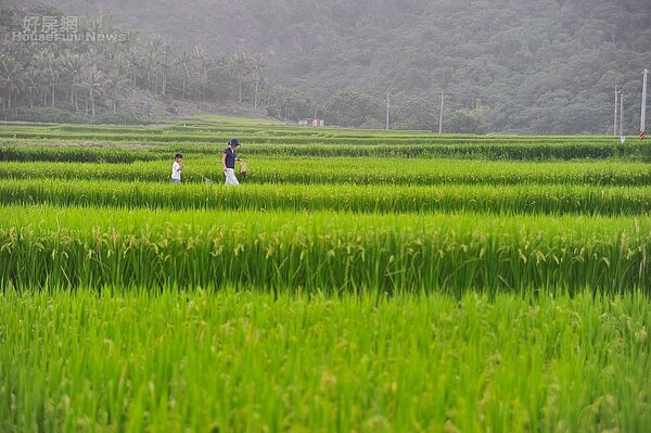 僅供一次使用,非經授權,請勿轉載