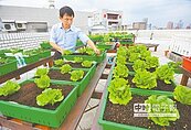 田園城市64志工　協助你家來種菜