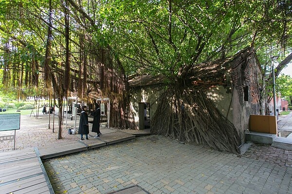 安平樹屋(好房網News記者張聖奕/攝影)