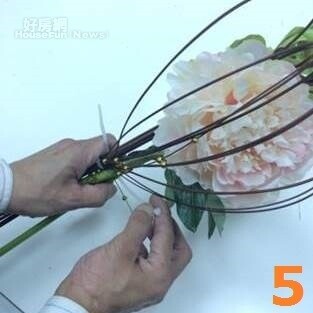 12星座開運花藝：雙魚座 牡丹（HOLA提供）