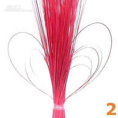 12星座開運花藝:處女座 木蓮花(HOLA提供)