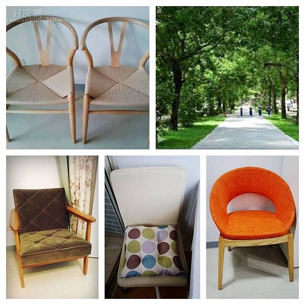 8.	姚時晴喜歡各式各樣的椅子。
