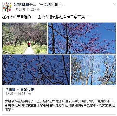 新北2016賞花季開跑(截自2016賞花快報粉絲頁)