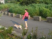 毛小孩完美訓練　溺愛、有求必應都NG