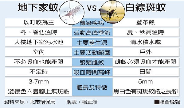 地下家蚊不怕冷冬天也要預防登革熱 好房網news