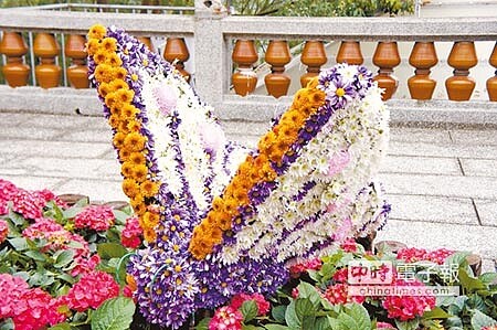 劍湖山世界以鮮花打造的「財發滾滾」,從金壺倒出財源(左圖),和名符其實的「花」蝴蝶(右圖)。(周麗蘭攝)