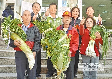 
　撐過寒流顛倒勇　　楊梅區農會昨舉行大菜王競賽，其中的蘿蔔、芥菜、青蒜組，分別由李新林（前排左起）、鄭石添、劉梅英等人奪冠。（楊明峰攝）
 