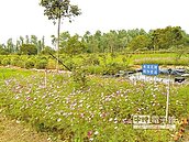 嘉電改造荒地　變身生態園區