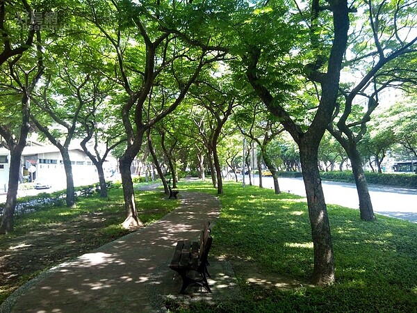 3敦化南路以優美林蔭大道著稱,燙金門牌更讓該區域房價居高不下。