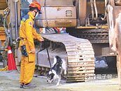 台南危樓多　工務局：31座要拆