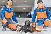 好幫手！3犬嗅出5遺體