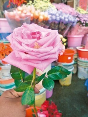 單枝玫瑰去年廿元，今年翻倍漲到四十元。 記者尤聰光／攝影