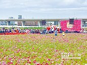 為花博暖身　大里花海登場