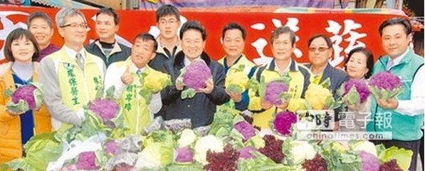 彰化市古蹟元清觀慶「天公生」,大方送青菜,繽紛的彩色花椰菜,讓大家心花怒放,直呼送青菜最讚。(吳敏菁攝)