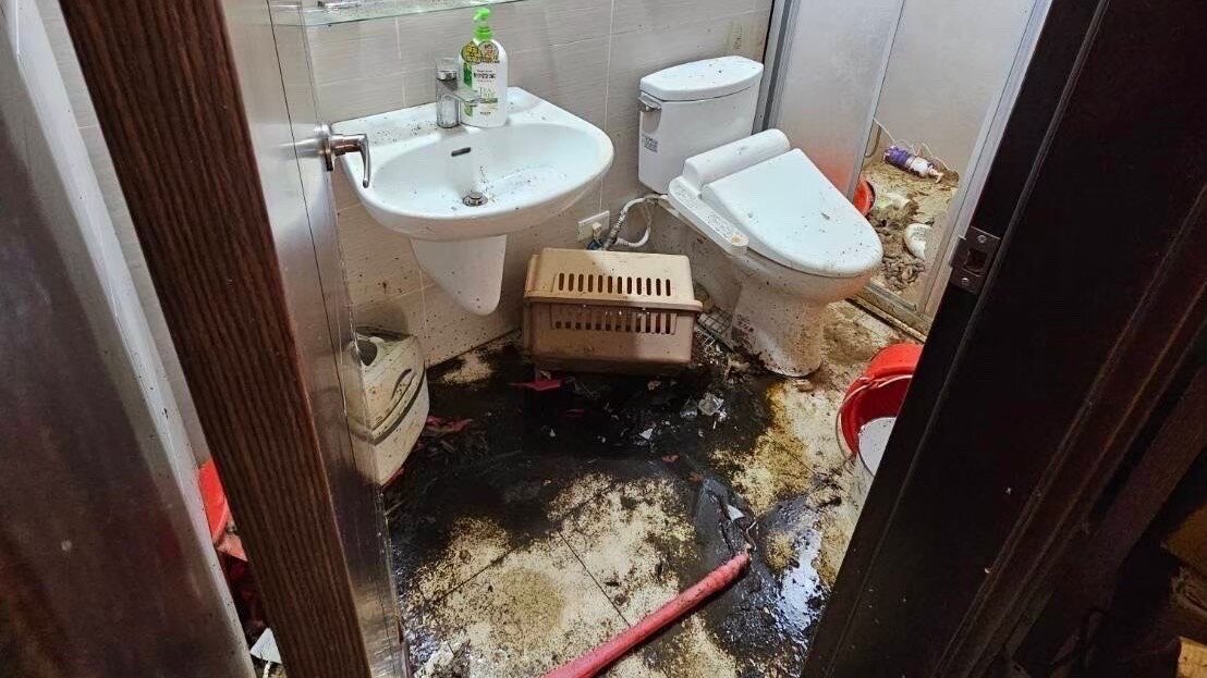 遭惡質房客破壞的浴室現場，地面佈滿來路不明的黑褐色黏稠污漬與大片垢塊，視覺與嗅覺災難讓房東寸步難行。（圖片／立達欣業有限公司）