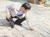 圓環東路人行道破損　待改善