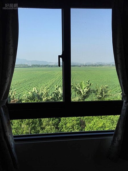 8. 從窗外望去,前面種植七里香,後面是種毛豆的綠油油土地。