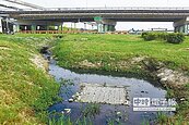 草地藏濁流　大台北都會公園飄惡臭