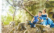 請獼猴證婚　新人壽山許終身