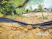 開發山坡地　男涉違水保法遭訴