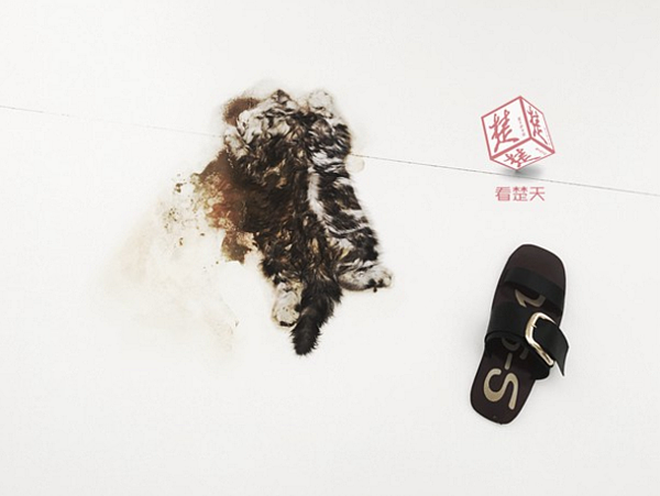 床墊下壓扁的死貓，薄如紙片。（圖／翻攝自《楚天都市報》）