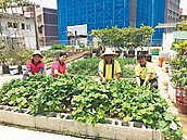 社區的屋頂農場　年省電68萬度