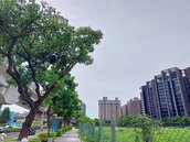 首購只看低總價是錯誤？「現在不買會後悔」恐怕釀風險