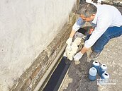 檢舉水汙染　最高獎金400萬