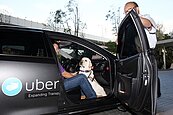 看報才知…府院大驚　撤資Uber急煞車