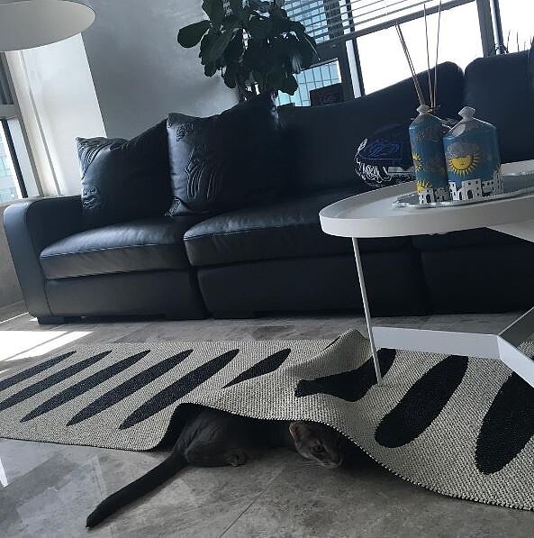 BIGBANG隊長GD姐姐常在Instagram上曝光弟弟豪宅內部裝潢。（翻攝自/damikwon_ instagram）