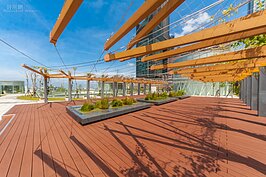 藤蔓植物爬滿後，將成為好遮應的天然涼亭。