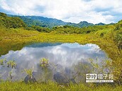 鯉魚潭閒置地　要蓋花之島