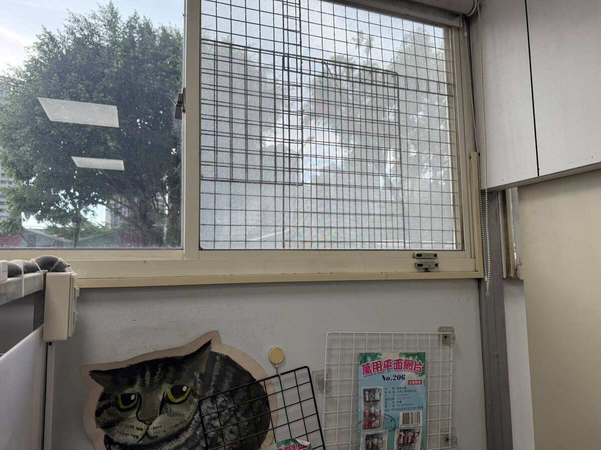 家中門窗應加裝防護措施防止動物逃逸。圖/新北市動保處提供