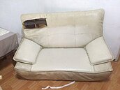 別怪房東挑剔毛小孩　出租下場超悲慘